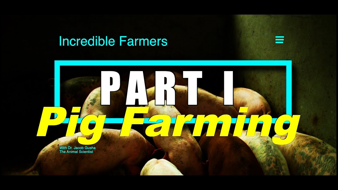 Pig Production Part 1