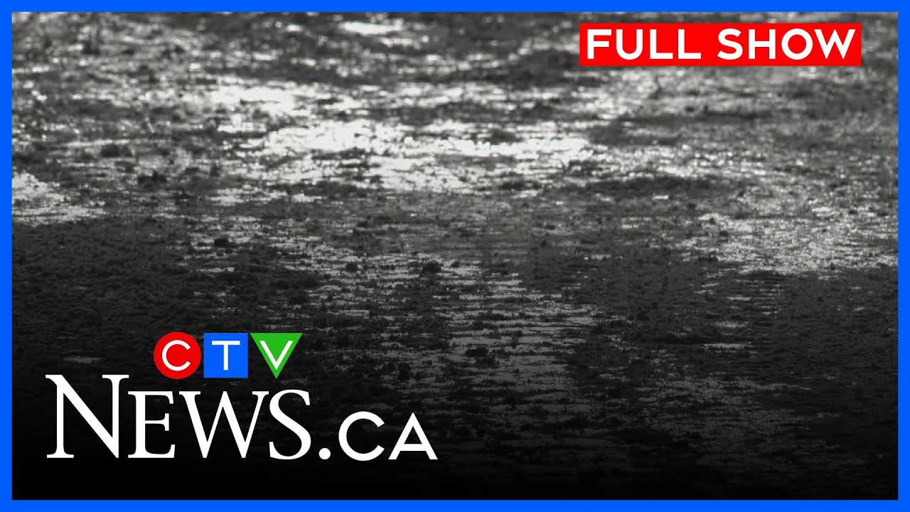 75% of Edmonton residential streets cleared | CTV News Edmonton at Six for Jan. 20, 2026