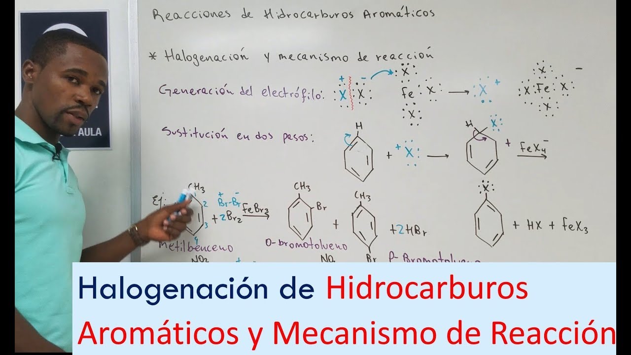 Halogenación del Benceno | Mecanismo de Reacción | Sustitución Electrofílica y Nucleofílica