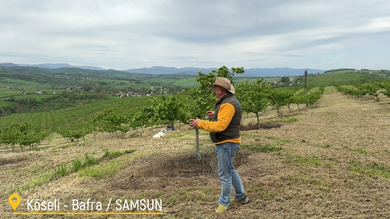 Tarım - 2025 Yılı Tarımsal Çalışmalar Başlangıcı 2025/01
