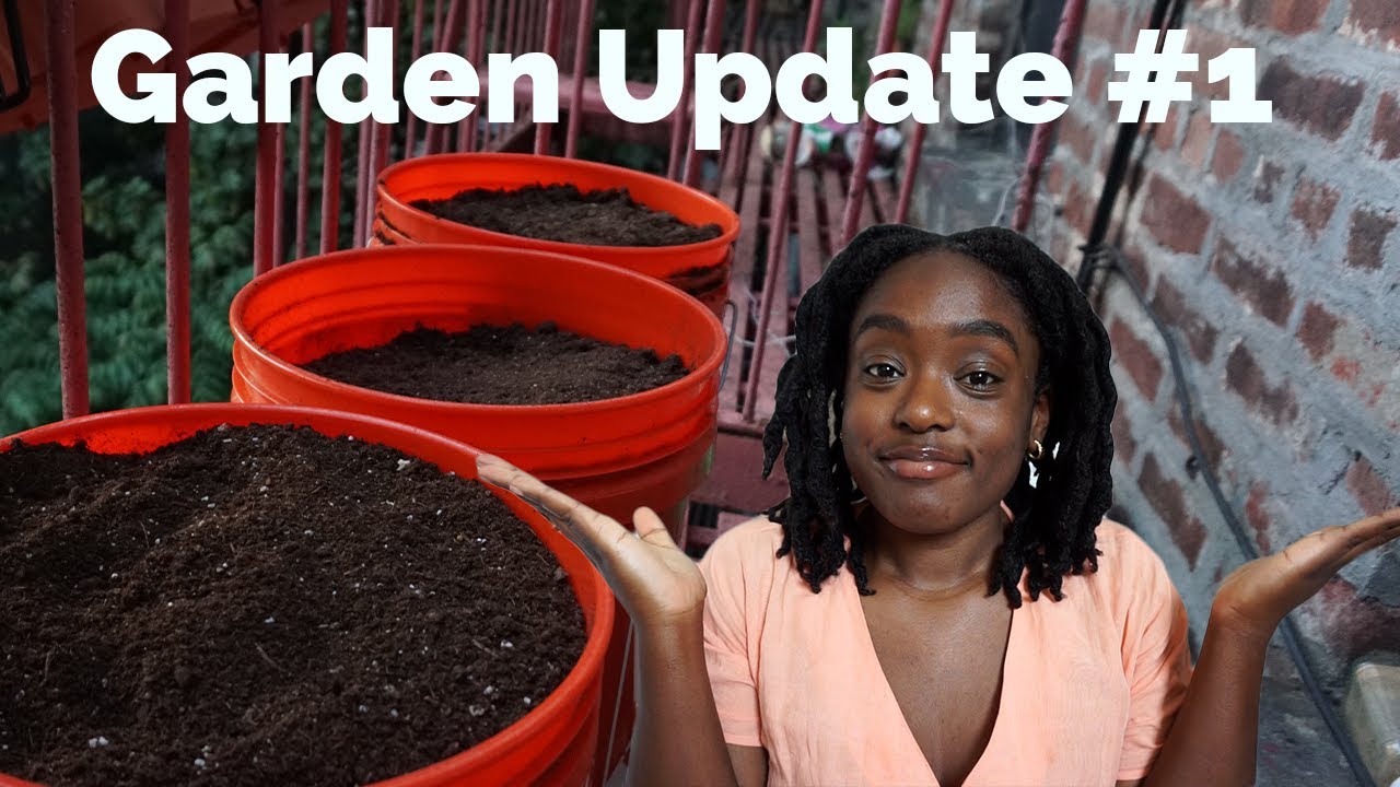 All My Seedlings Died | Fire Escape Garden Update #1