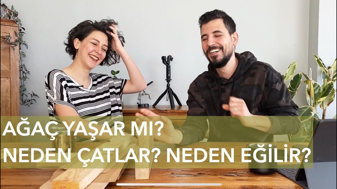 Ağaç Yaşar Ne Demek? Ahşap Neden Çatlar?