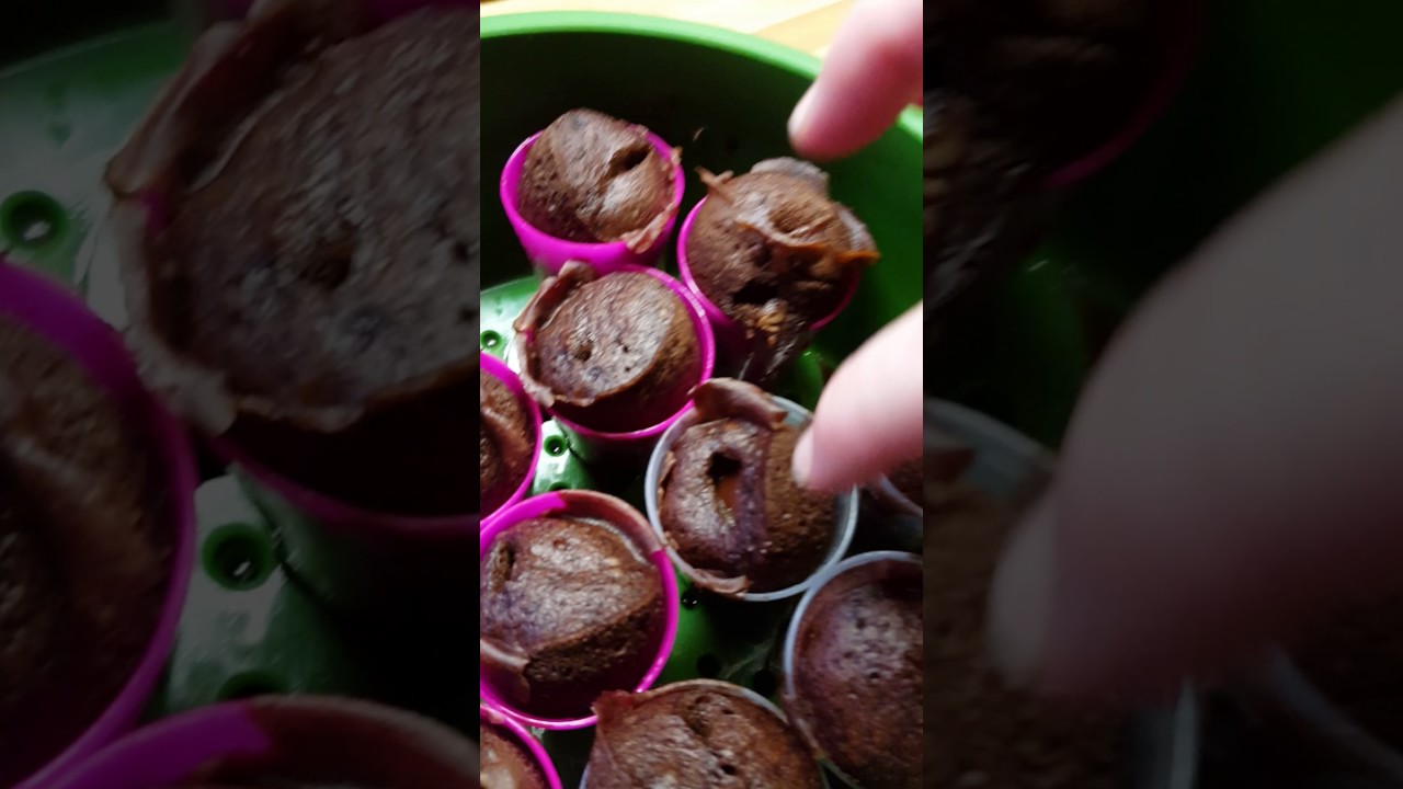 Tupperware Smart Steamer Cake Shots!