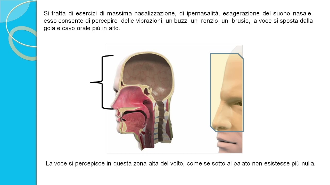 La posizione della voce