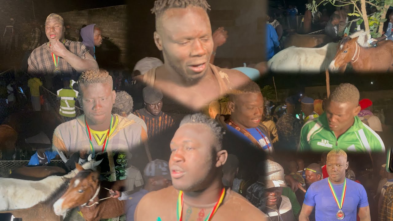 Partage chevaux 🐴et boeufs 🐂à ndangane sambou 29 janvier 2026