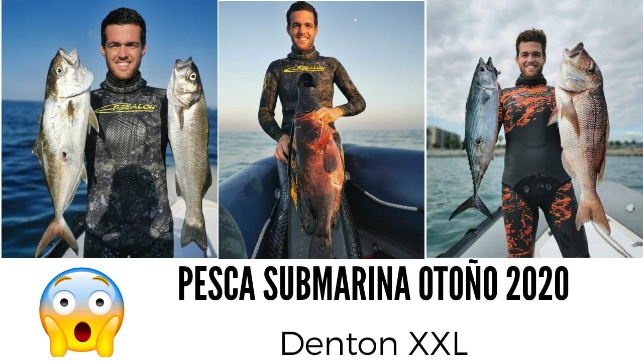 Pesca Submarina Oto&ntilde;o 2020 Denton XXL