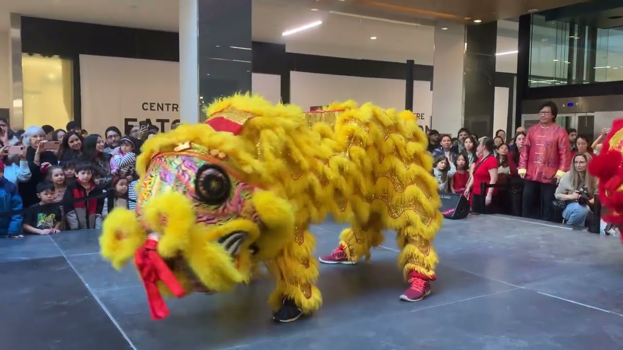 Danse du lion pour le nouvel an chinois, année du cheval