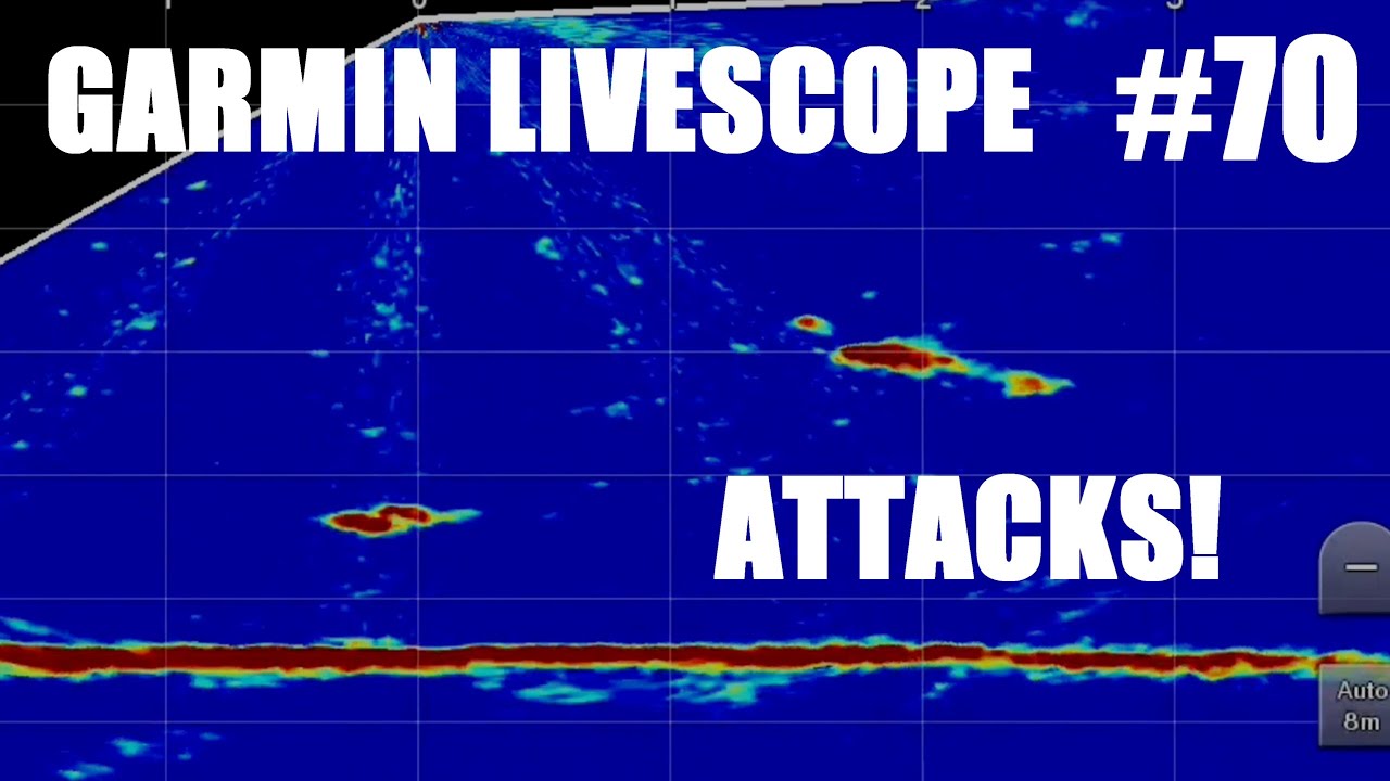 #70 Garmin Panoptics Livescope Attacks (GPSMAP / GLS10 / LVS32)