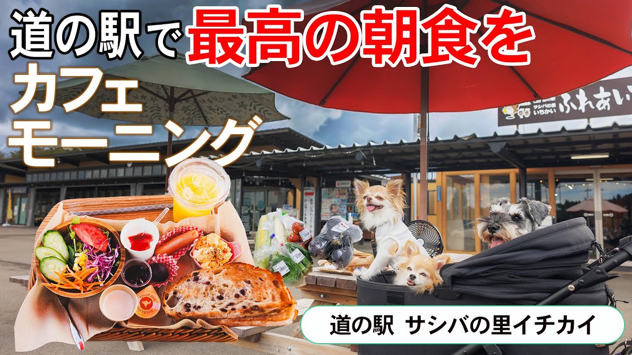 【スマートミール知ってますか？】健康のバランスがとれた道の駅で食べる最高のモーニングとは？！人気のカフェ三四八へ潜入！【道の駅サシバの里イチカイ】