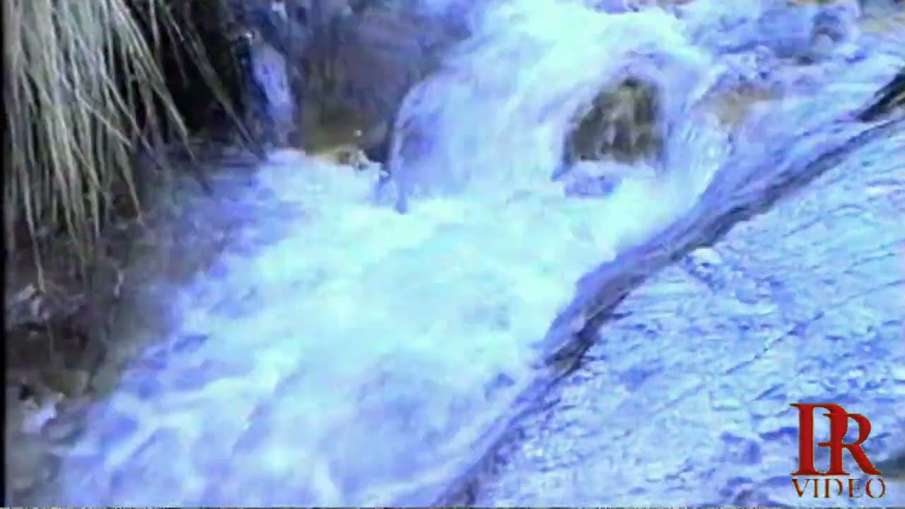 CANILLAS DE ALBAIDA, PROVINCIA DE MÁLAGA