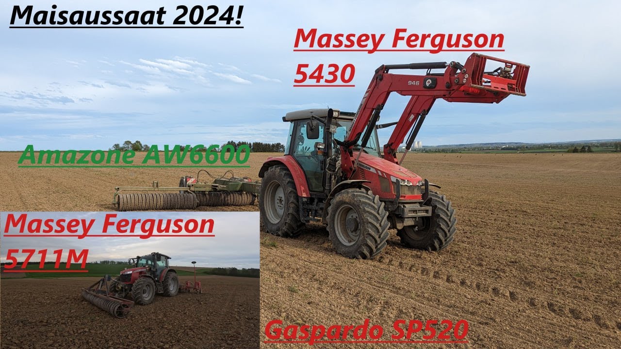 Maisaussaat 2024! Massey Ferguson 7511M + MF 5430!