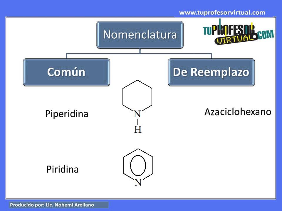 Nomenclatura de Aminas Heterocíclicas - Lección Teórica 1