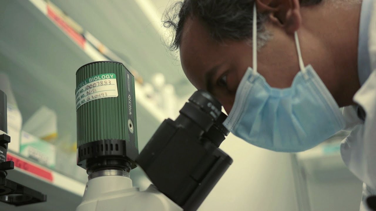 Zika Virus Helps Destroy Deadly Brain Cancer in Mice, Offering Hope for New Glioblastoma Treatment