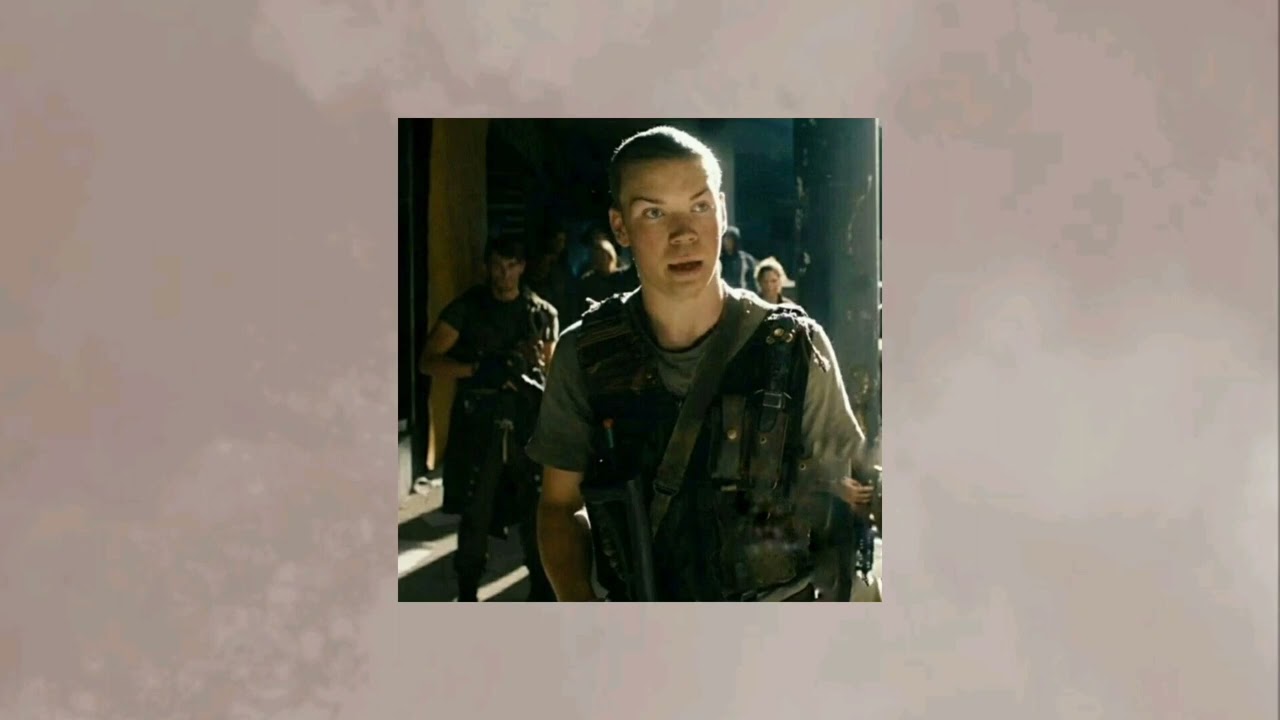 gally x y/n playlist || tmr series