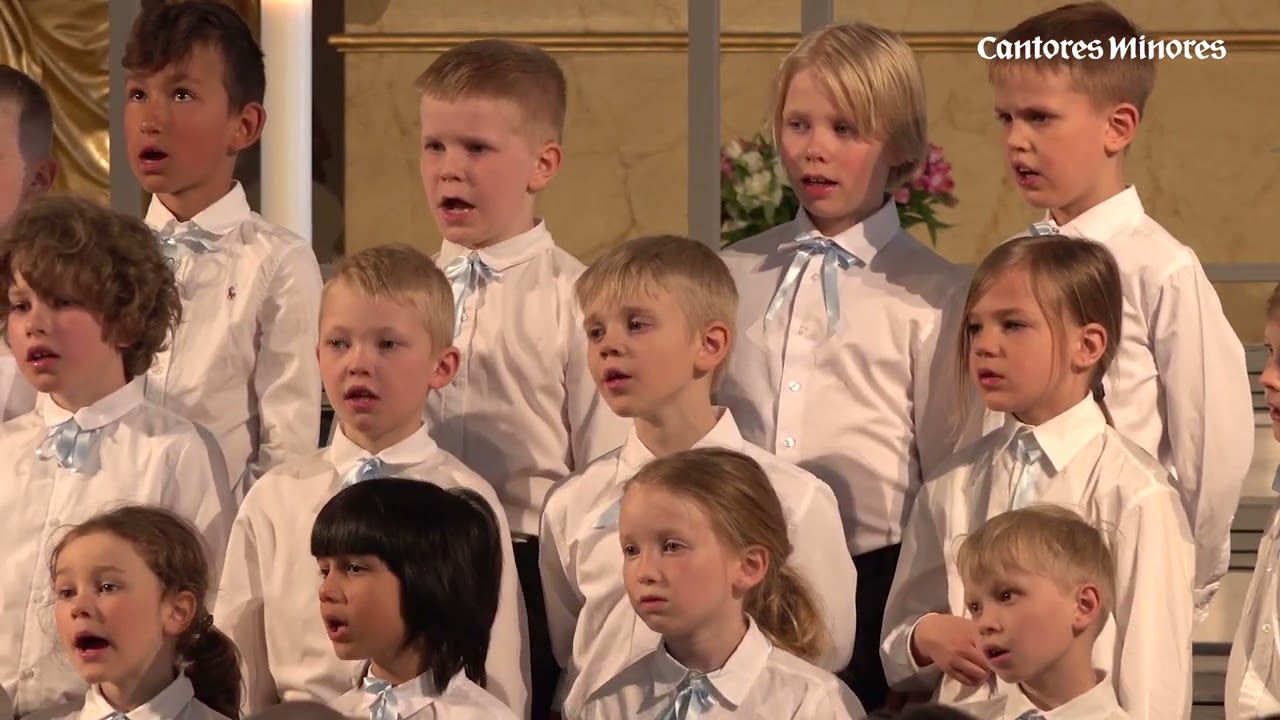 Cantores Minores -poikakuoron konserttivuosi 2024 - Cantores Minores Concert Year 2024