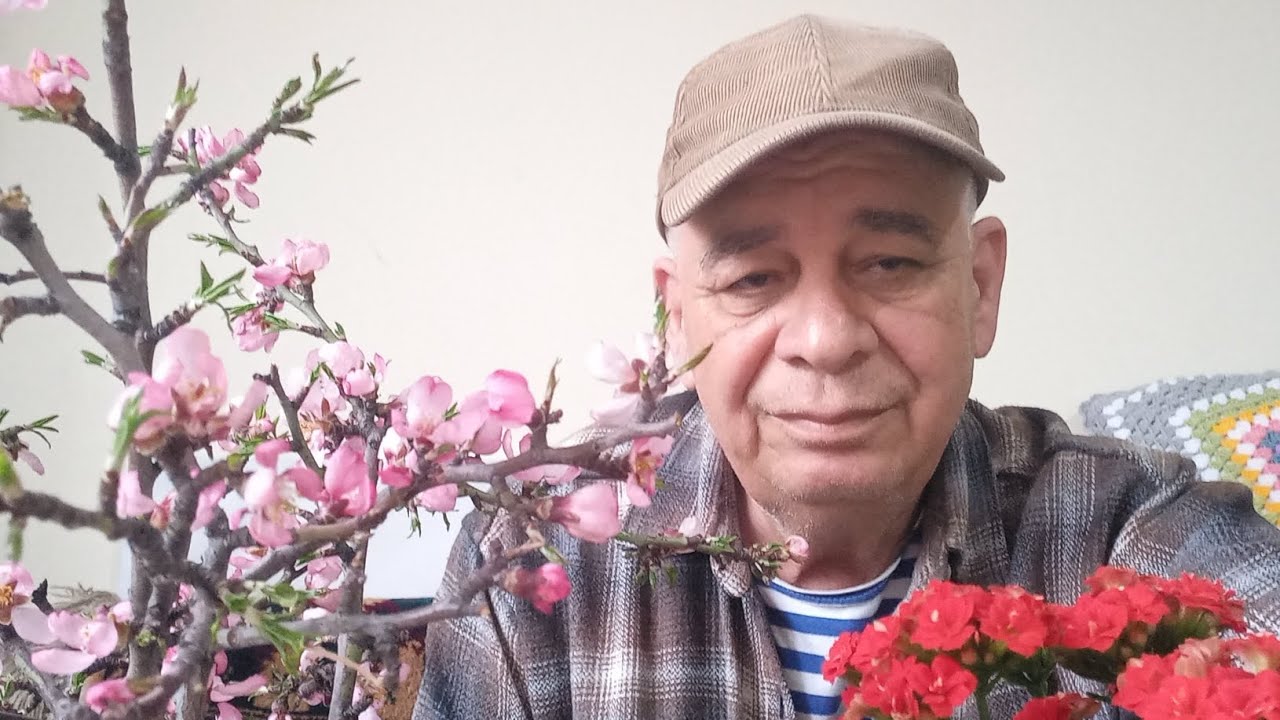 ХОЧУ КУПИТЬ ДОМИК С УЧАСТКОМ В ТУРЦИИ  ! ХОТЕТЬ НЕ ВРЕДНО ! СНАЧАЛА ПОСМОТРИТЕ ВИДЕО ОТ БЫВАЛОГО !