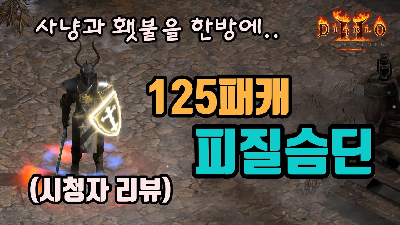 ✨아이템 교체 없이 올라운드 가능한 125패캐 피질슴딘 세팅 영상입니다👍👍👍(시청자 리뷰)/디아블로2 레저렉션/ diablo2 resurrected