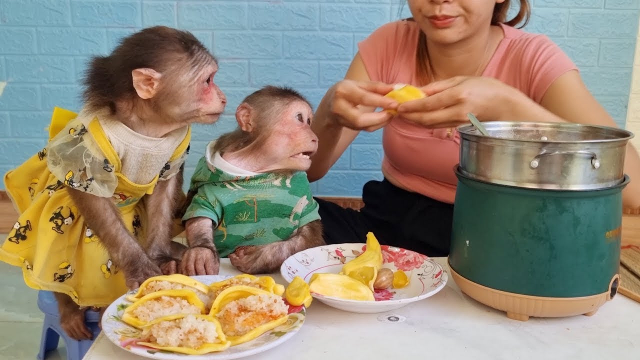 Mimi Kuku waits for Mom to make jackfruit sticky rice   YouTube