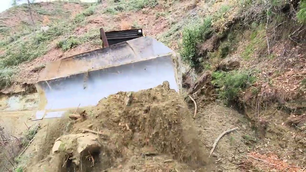 Bu Dozer Neden OrmanaGirdi-Emval Taşıma Yolu Did this bulldozer enter the forest-Log Transport Route