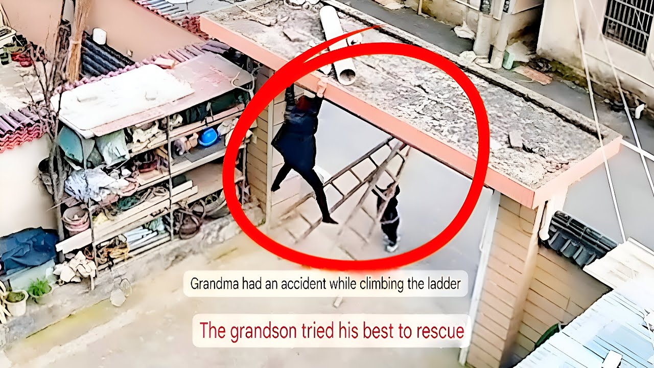 Grandma Falls from Ladder&mdash;Grandson&rsquo;s Brave Rescue!