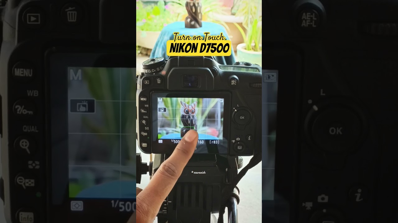 Nikon D7500 photography settings | Nikon d7500 settings