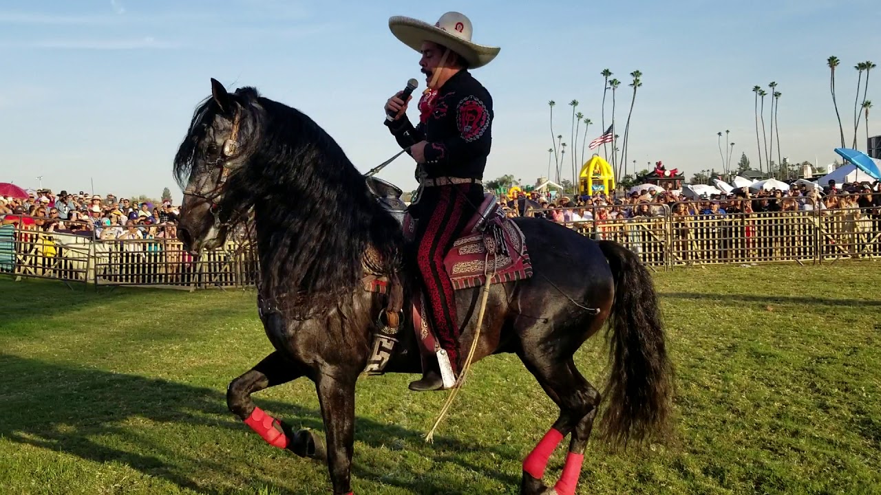 Ezequiel Peña canta Dos Vicios En Santa Anita Park Arcadia Calif