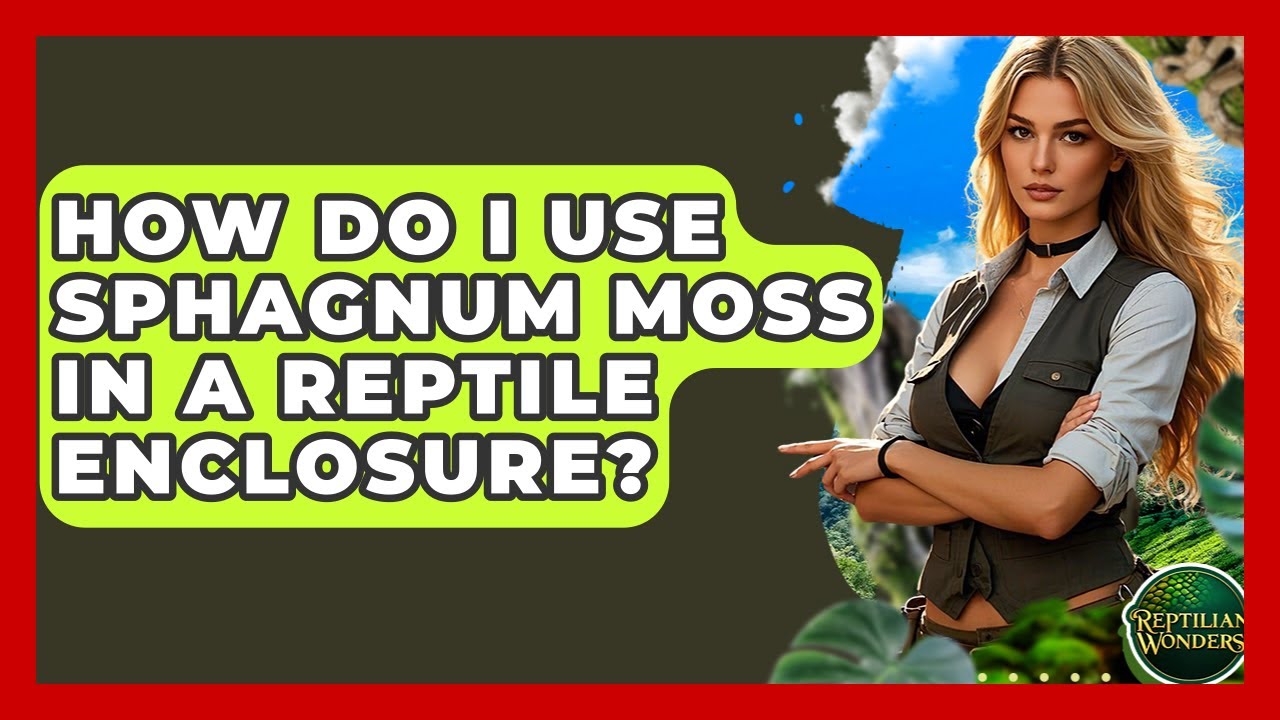 How Do I Use Sphagnum Moss In A Reptile Enclosure? - Reptilian Wonders