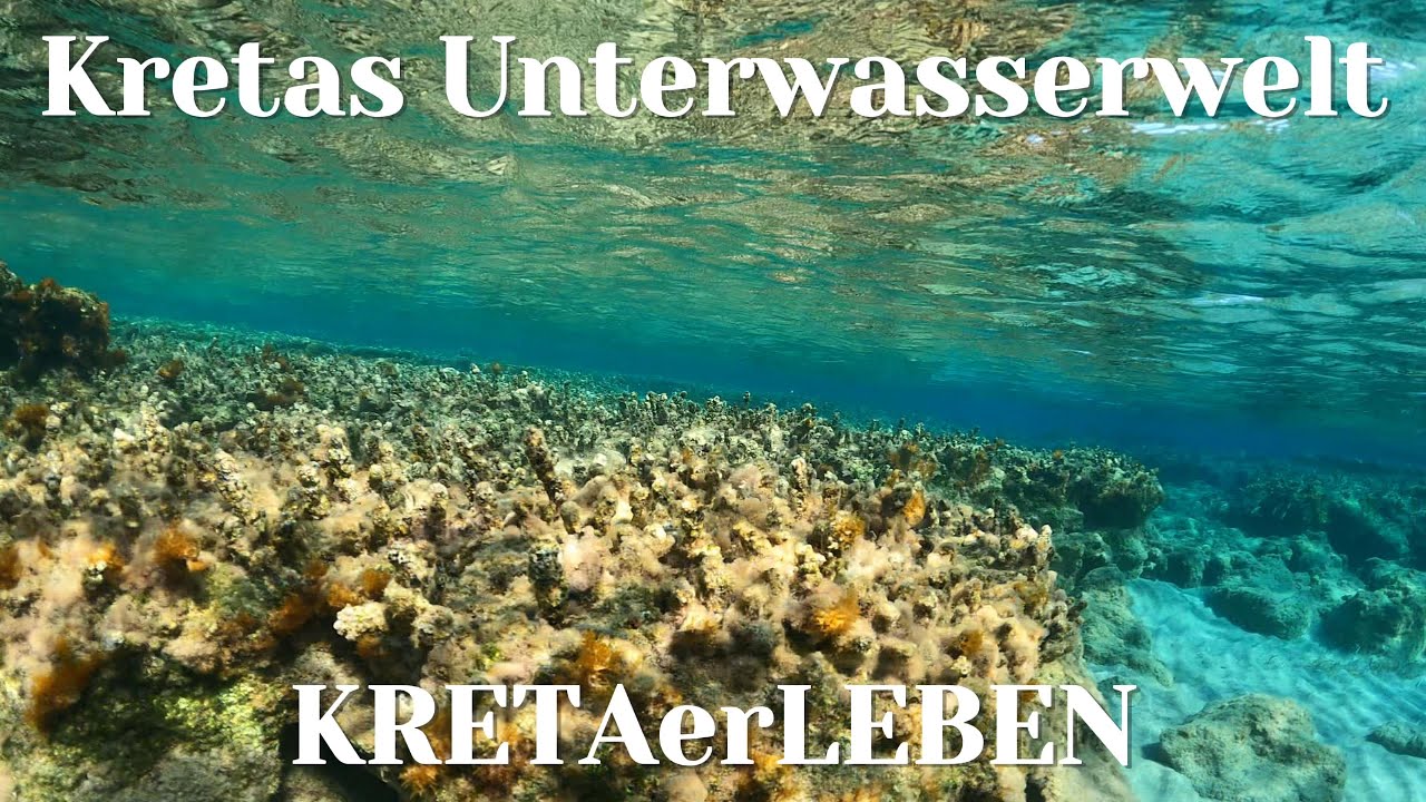 Kretas Unterwasserwelt - Schnorcheln an der Südküste