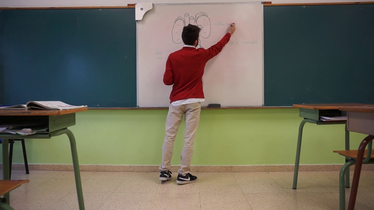 Sistema urinario