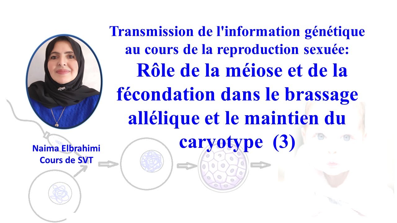 SVT-Bac-Biof Transmission de l'information génétique:brassage interchromosomique  intrachromosomique