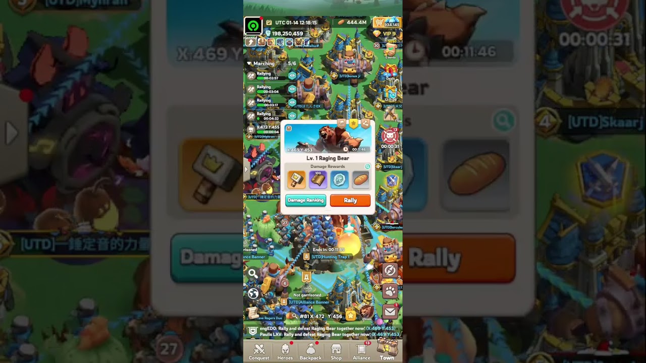 Bear #50 | 36.7 M | 1.2 B