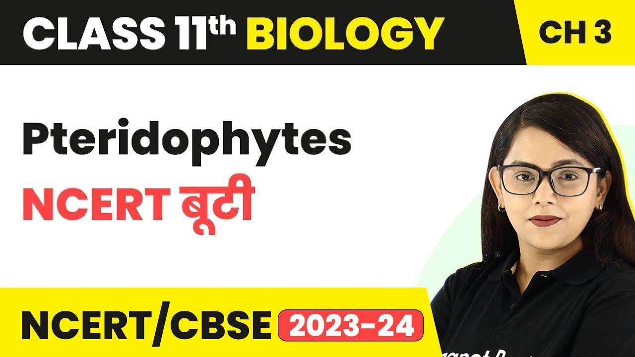 Pteridophytes - NCERT बूटी - Plant Kingdom | Class 11 Biology Chapter 3 | NCERT/CBSE