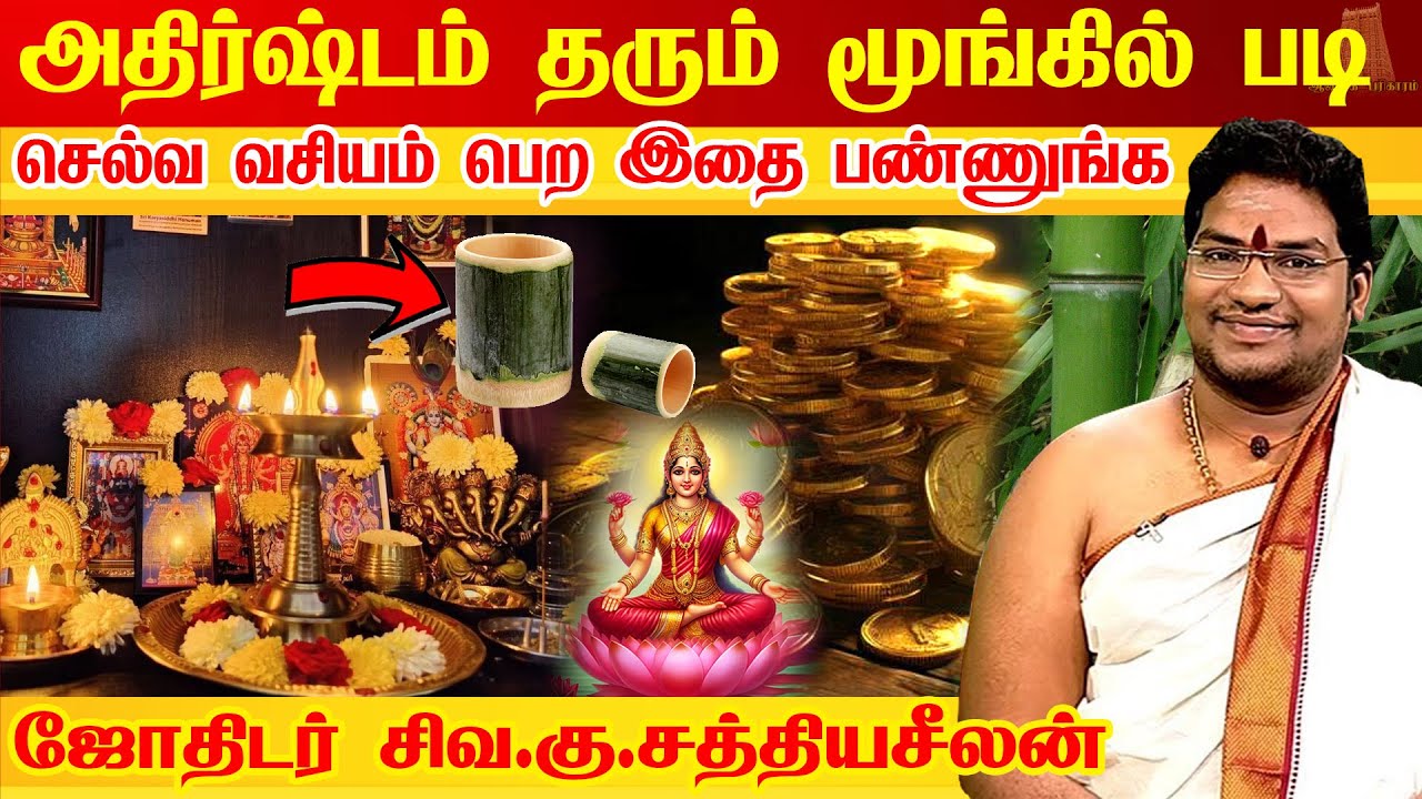 மூங்கில் படி செல்வ ரகசியம் - MONEY ATTRACTION TIPS- BAMBOO TREE செல்வ வசியம் தரும் மரம் | Vastu Tree