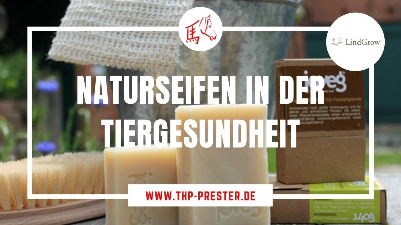 Naturseifen in der Tiergesundheit