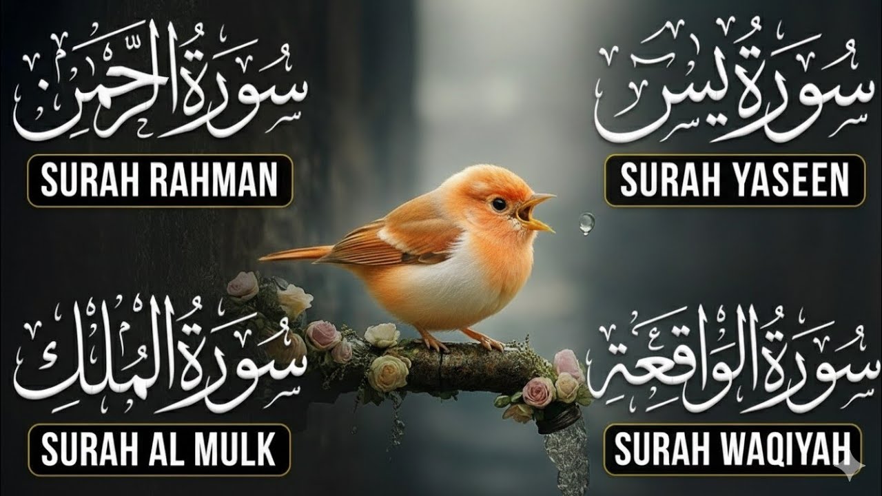 Magical Recitation of Surah Yaseen (Yasin) | Surah Rahman | Surah Waqiah | Surah Mulk EP 130