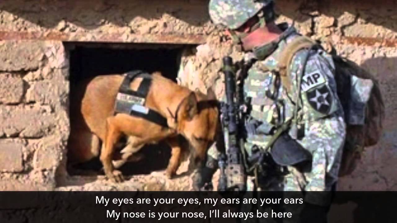 Tribute to Police Dogs and War Dogs