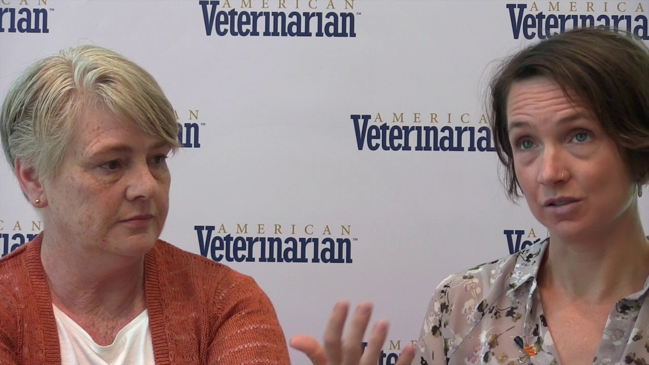 Feline URI: Changes In Treatment