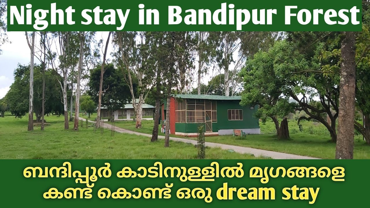 BANDIPUR TIGER RESERVE |  DEEP FOREST STAY | GOVT COTTAGE INSIDE FOREST