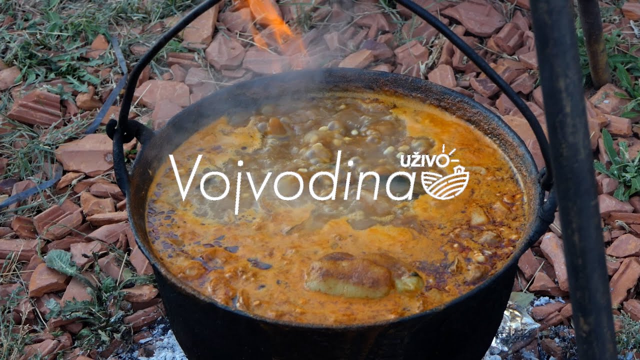 Novi Bečej ,,Opasuljivanje