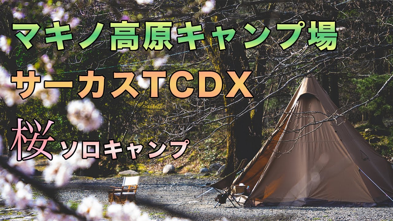 マキノ高原キャンプ場で桜ソロキャンプ 　〜サーカスTCDX カンガルースタイルで春キャンプ〜