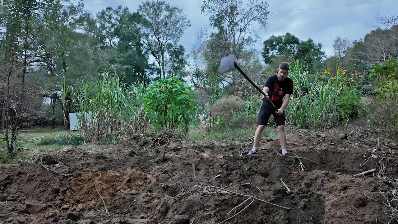 How to plant sugarcane in zone 7, 8, 9, 10 (Bobcat optional!)