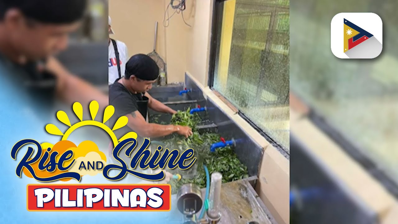 Kahalagahan ng mga halamang gamot