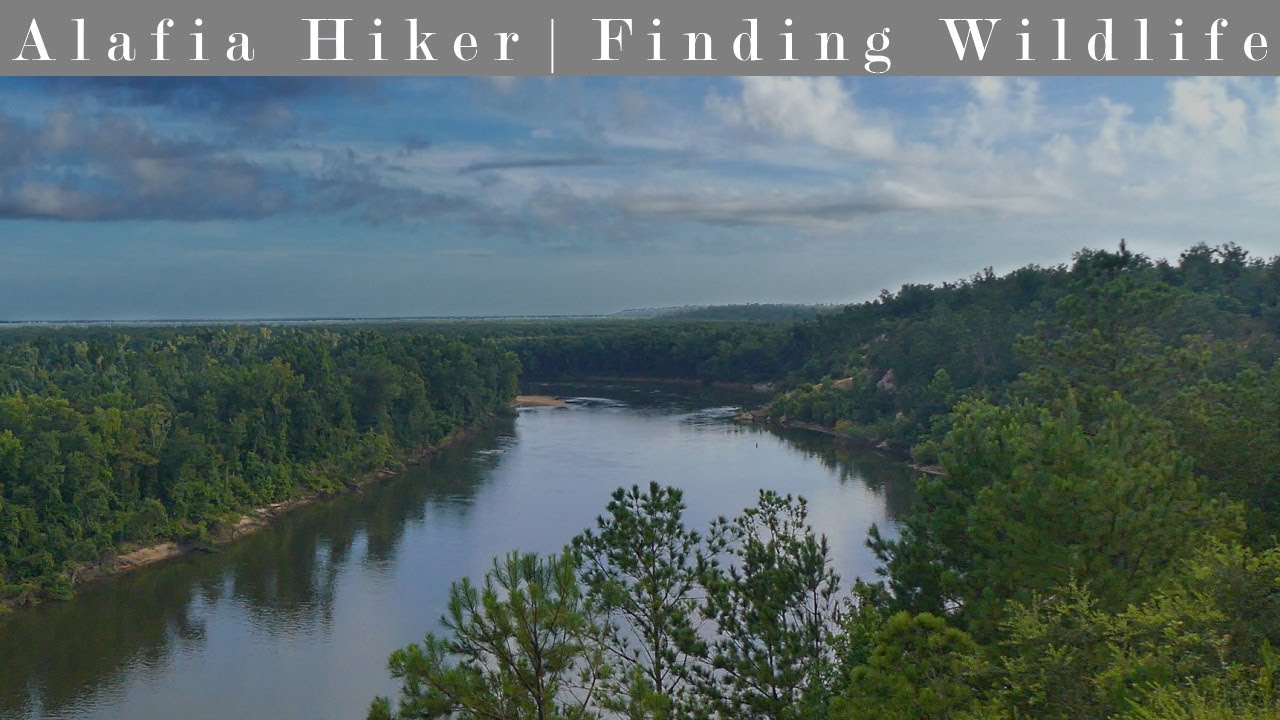 Hiking the Apalachicola Bluffs and Ravines Preserve