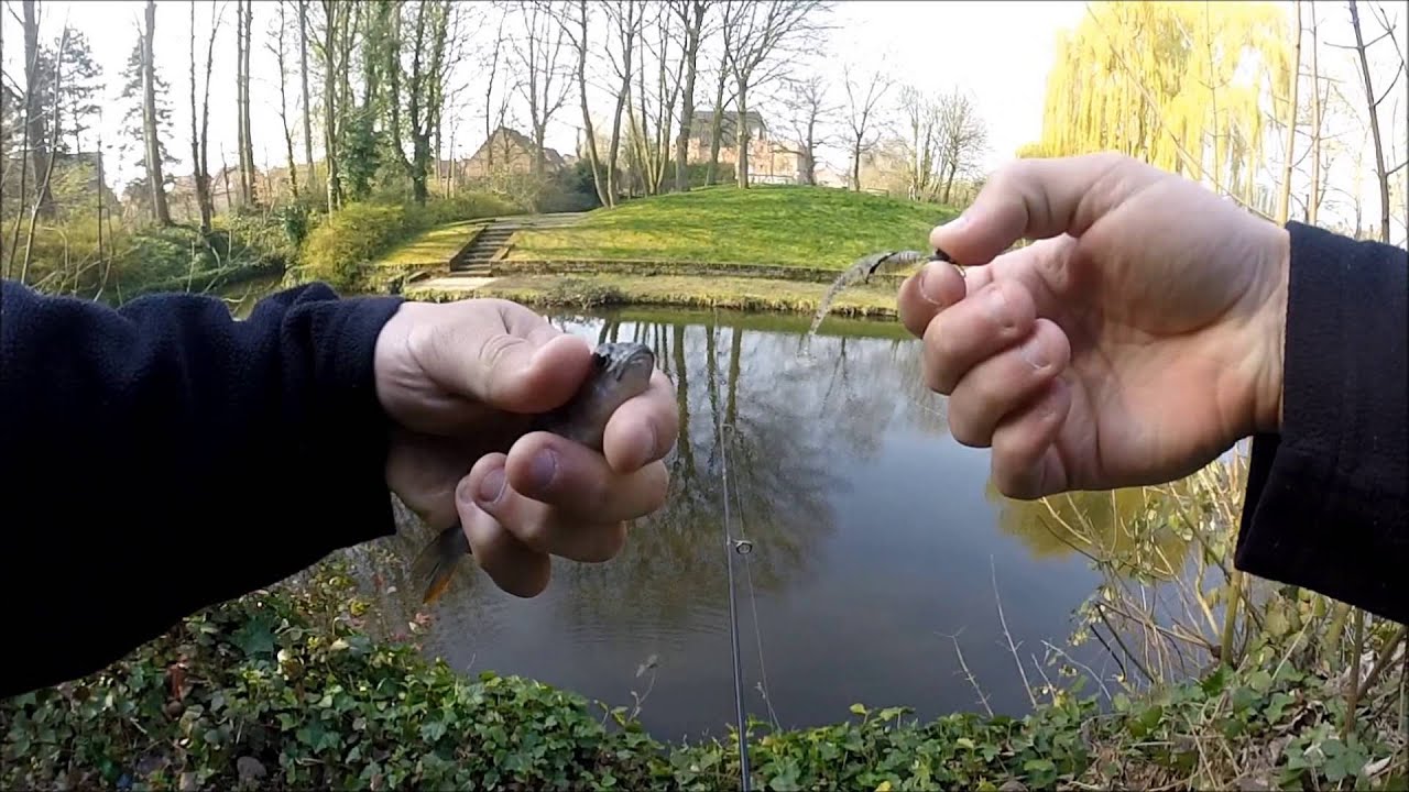 p&ecirc;che carnassier no kill
