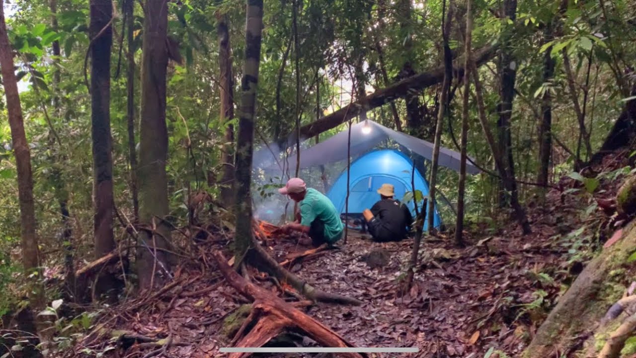 Camping & Memancing Di Dekat Air Terjun ~ Bertahan Hidup Di Hutan Rimba