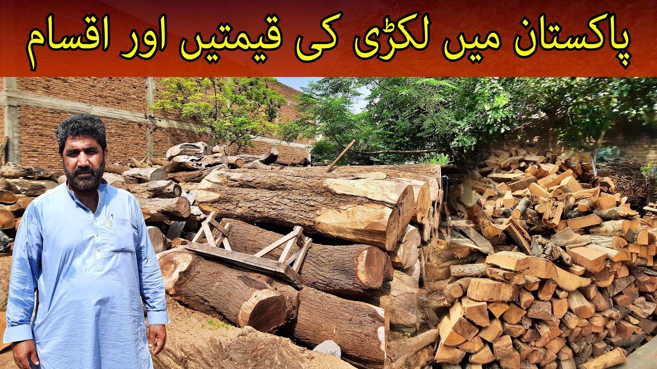 Lakri Ka Taal - Seasoned Wood Types for Furniture | Wood Timber Business | Wood Types in Urdu