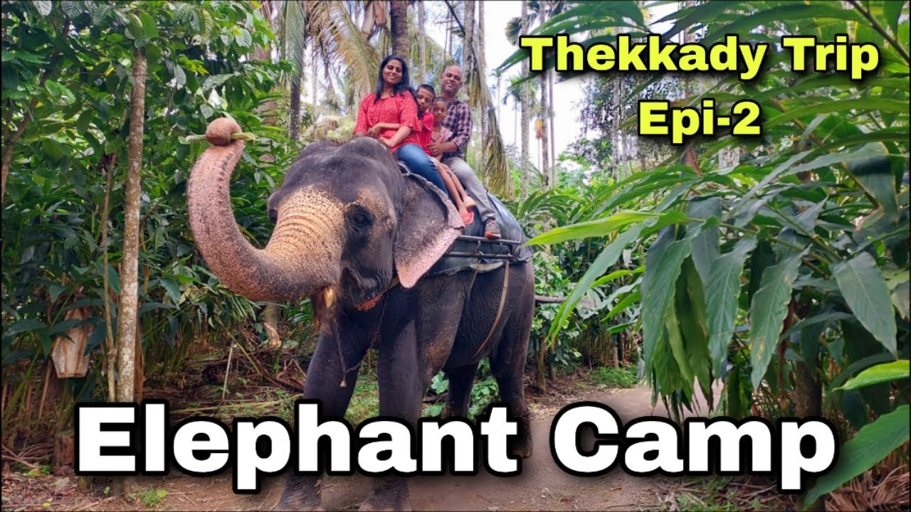 Elephant Ride and Bathing| Elephant Camp - Thekkady| Thekkady Tourist  Places