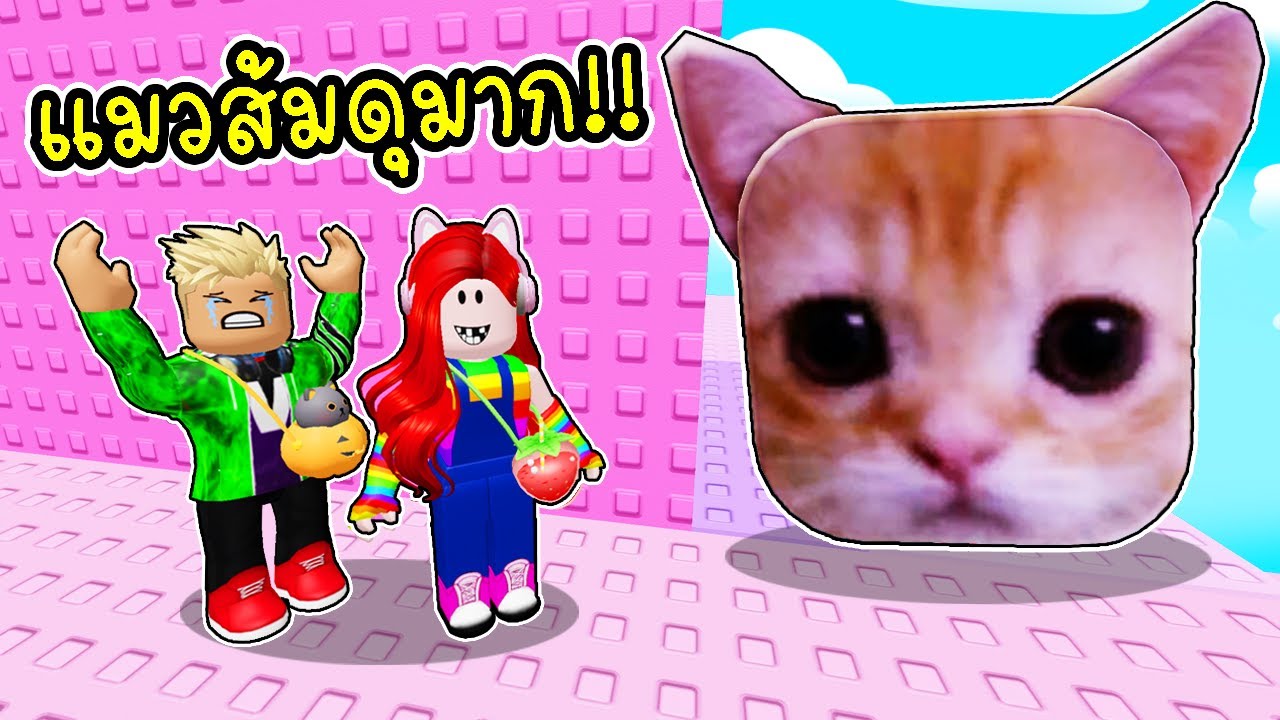 หอคอยนี้มีแต่แมว! พี่ฝนพี่เอกตะลุยกระโดดหอคอยแมวส้ม 🐈🍊🏰 Roblox Ay Mi Gatito Scary Troll Slap tower