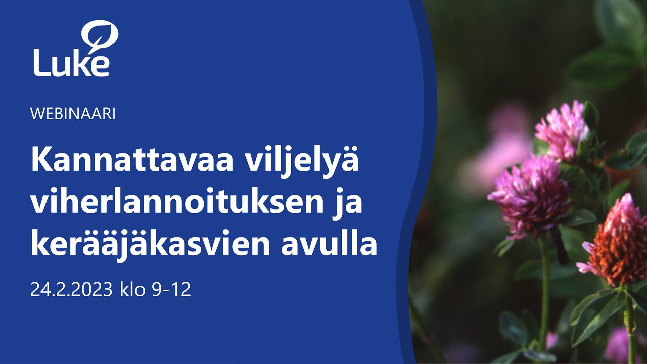 Kannattavaa viljelyä viherlannoituksen ja kerääjäkasvien avulla -webinaari