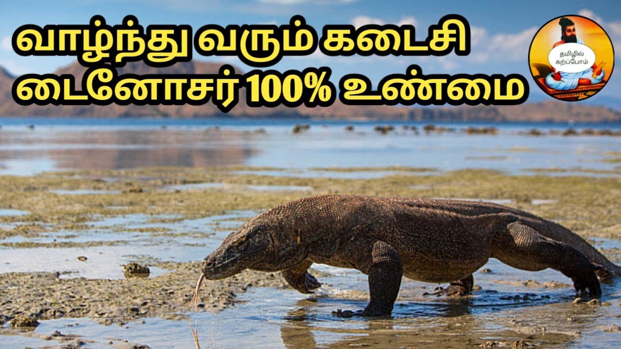 கொமோடோ டிராகன் | Komodo dragon in tamil | tamizhil karppom